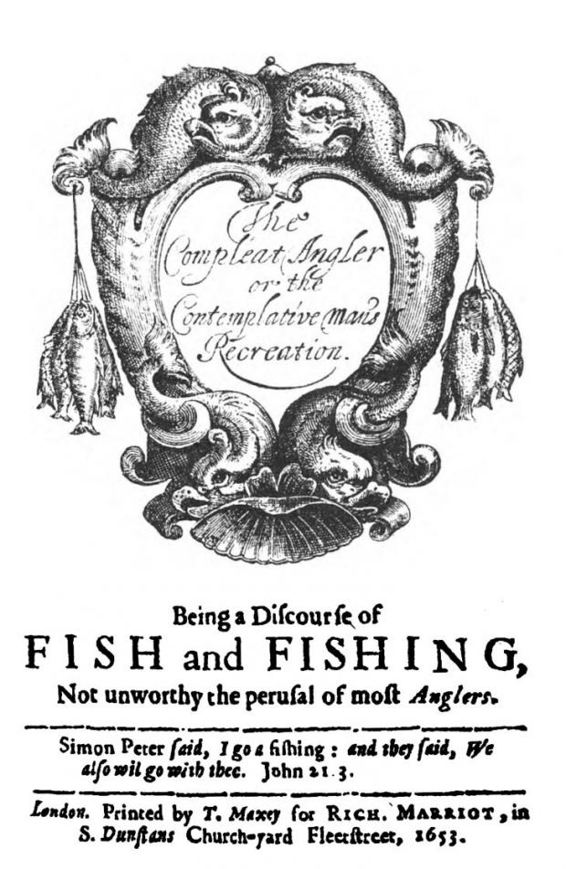 ANGLER  definition in the Cambridge English Dictionary